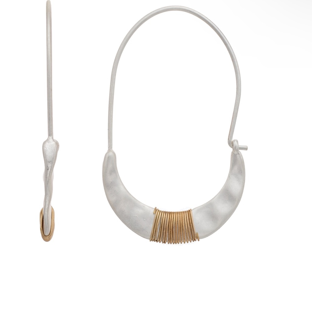 Silver and Gold Hoop Earrings